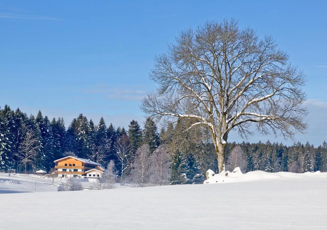 Landhotel Moorhof Neuschoenau